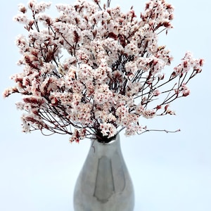 A  bouquet of Preserved German Statice, Limonium Dried Flower, Floral arrangement, Wedding, DIY flower arranging craft