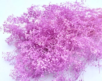 May include: A bunch of dried baby's breath flowers in a light purple color. The flowers are arranged in a loose, natural way, with some stems extending out from the center.