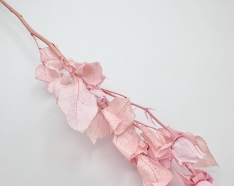 Preserved Light Pink Spray rose with long stem with leaves forever flowers DIY Bouquet bridal wedding arrangement