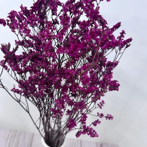 25g of soft preserved  Dark Pink Crystal  flowers German Statice limonium lover grass bunch 17”-20” tall