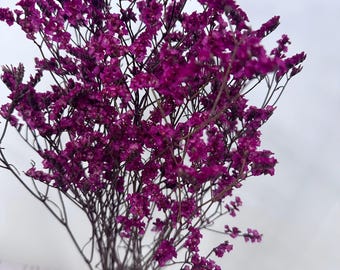 May include: A bouquet of vibrant purple flowers in a white vase. The flowers have small, clustered blooms and slender stems. The vase is cylindrical and sits on a light-colored wooden surface, with a white background.