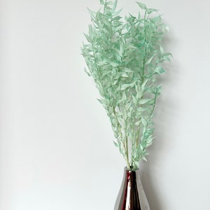 Teal Blue soft preserved ruscus bunch wedding home decor 18”-20”