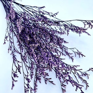 Dark purple lover grass preserved flowers Caspia tiny flowers home decorations DIY bouquet flower arrangement 25g
