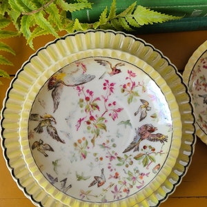 May include: A set of two vintage porcelain plates with a yellow rim and a black trim. The plates feature a delicate floral pattern with birds and berries.