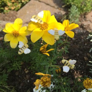 Glow In The Dark Bee Pick - Set of 4, Fairy Garden Bees, Mini Bees, Miniature Insects