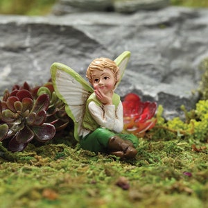 Acorn The Fairy Boy, Fairy Garden Boy, Mini Fairy Boy, Miniature Fairy Boy