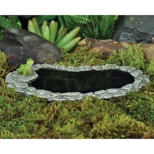 Pollywog Pond, Fairy Garden Pond, Mini Pond, Miniature Pond