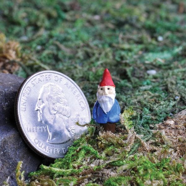 Micro Mini Gnome Pick, Mini Gnome, Miniature Gnome, Tiny Gnome, Fairy Garden Gnome