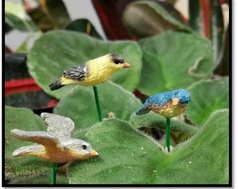 Uccelli in volo, Mini uccelli, Fairy Garden Birds