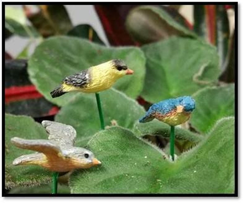 Birds in Flight, Mini Birds, Fairy Garden Birds - Etsy