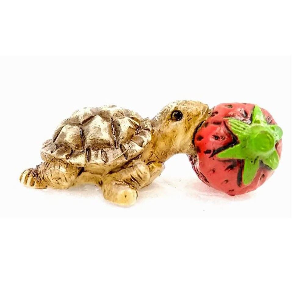 Turtle W Raspberry Baby Turtle Eating Raspberry