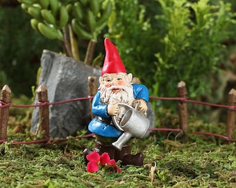 Brolan De gieterkabouter, minikabouter, miniatuurkabouter, kleine kabouter, sprookjestuinkabouter