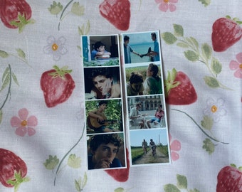 call me by your name photobooth strips