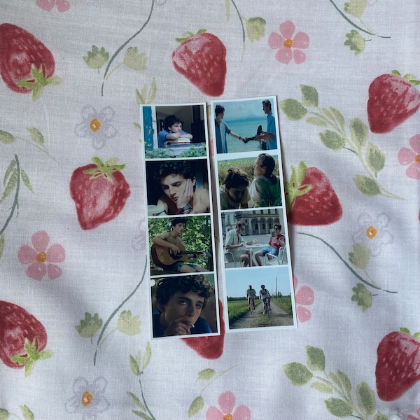 call me by your name photobooth strips