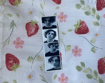 timothée chalamet photobooth strip!