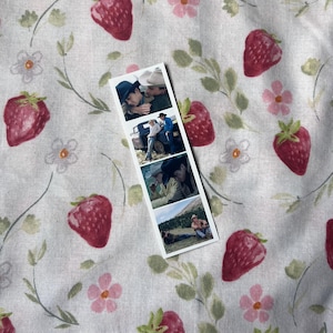 cabina fotografica di Brokeback Mountain