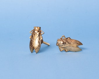Goldener Cicada Bug Türknopf - Massive Schabe Käfer Schrankknopf - Insekt Home Accessoire - Luxus Hardware
