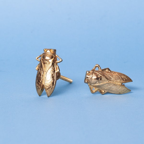Goldener Cicada Bug Türknopf - Massive Schabe Käfer Schrankknopf - Insekt Home Accessoire - Luxus Hardware