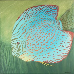 May include: A square painting of a discus fish. The fish is light blue with orange spots and red trim. The background is green with vertical brushstrokes. The artist's signature, M. CAPLAN, is in the bottom right corner.