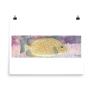 Poster - The Foxed Rabbitfish