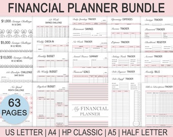 Budget Planner Printable, PDF, Paycheck Budget, Bi-Weekly, Monthly, Financial Planner, Finance Bundle, Budget Planner, Debt, Income