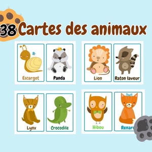 Animal cards, Nomenclature cards, Montessori activity, Kindergarten sheets.