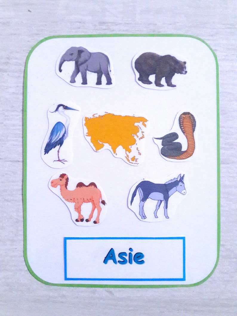 May include: A white card with a green border and a blue rectangle with the word "Asie" in blue text. The card has images of animals found in Asia, including an elephant, a bear, a heron, a snake, a camel, and a donkey. The card also has a yellow outline of the continent of Asia.