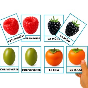 K&ouml;nnte beinhalten: Karten mit Abbildungen von Fr&uuml;chten: Himbeeren, Brombeeren, Oliven und Kakis. Jede Karte tr&auml;gt den Namen der Frucht auf Franz&ouml;sisch: "La framboise", "La m&ucirc;re", "L'olive verte" und "Le kaki". Eine Hand h&auml;lt eine der Karten.