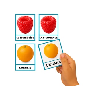 K&ouml;nnte beinhalten: Lernkarten mit einer roten Himbeere und einer Orange. Die Karten tragen den Namen der Frucht auf Franz&ouml;sisch. Eine Hand h&auml;lt eine Karte mit einer Orange und dem Wort "L'ORANG". Der Hintergrund ist wei&szlig;.