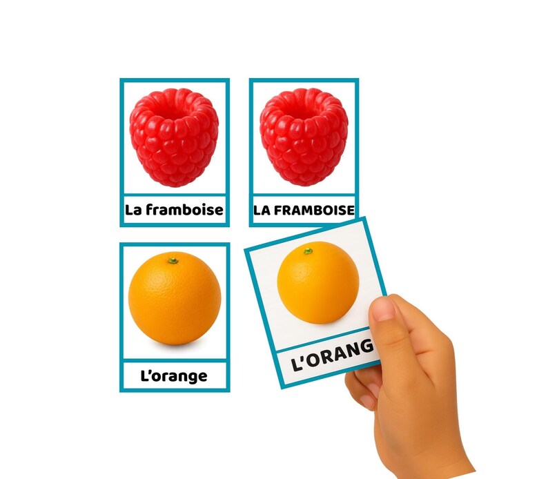 K&ouml;nnte beinhalten: Lernkarten mit einer roten Himbeere und einer Orange. Die Karten tragen den Namen der Frucht auf Franz&ouml;sisch. Eine Hand h&auml;lt eine Karte mit einer Orange und dem Wort "L'ORANG". Der Hintergrund ist wei&szlig;.