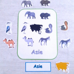 May include: A white card with a black outline and green border shows a map of Asia with various animals from Asia. The animals include elephants, bears, camels, donkeys, snakes, and birds. The card also has the word "Asie" written on it. There is a smaller white card with a blue border that also says "Asie". There is a yellow cutout of the continent of Asia.