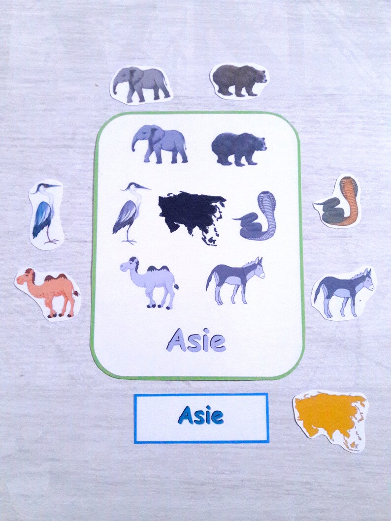 May include: A white card with a black outline and green border shows a map of Asia with various animals from Asia. The animals include elephants, bears, camels, donkeys, snakes, and birds. The card also has the word "Asie" written on it. There is a smaller white card with a blue border that also says "Asie". There is a yellow cutout of the continent of Asia.