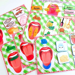 May include: Five colorful cards with a tongue illustration and different food items representing the five tastes: sweet, sour, salty, bitter, and umami. The cards are on a green and white checkered background.