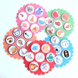 Puede incluir: Cuatro círculos coloridos con bordes festoneados, cada uno con un conjunto de imágenes. Los círculos son rosa, verde, naranja y azul. Cada círculo tiene un tema diferente, como comida, transporte y naturaleza.