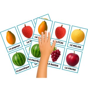 K&ouml;nnte beinhalten: Obst-Lernkarten mit franz&ouml;sischem Text, darunter Papaya, Litschi, Melone, Wassermelone, Trauben und Pflaume. Eine Kinderhand zeigt auf die Karten. Die Karten haben einen blauen Rand und einen wei&szlig;en Hintergrund.