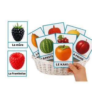 Cartes de Nomenclature Fruits à Imprimer | 56 Cartes Montessori Capitales & Scriptes | Activité Langage Maternelle