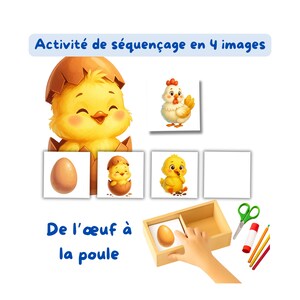 May include: Educational sequencing activity showing a chick hatching from an egg. The image includes illustrations of the chick, egg, and chicken, with the text "Activité de séquençage en 4 images" and "De l'œuf à la poule."
