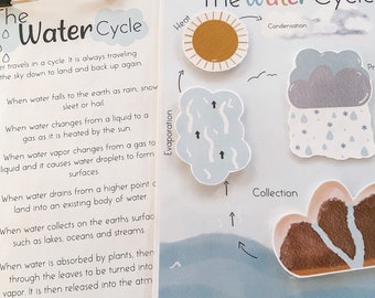Actividad interactiva sobre el ciclo del agua / Ciencia para la educación en casa (impresión digital)