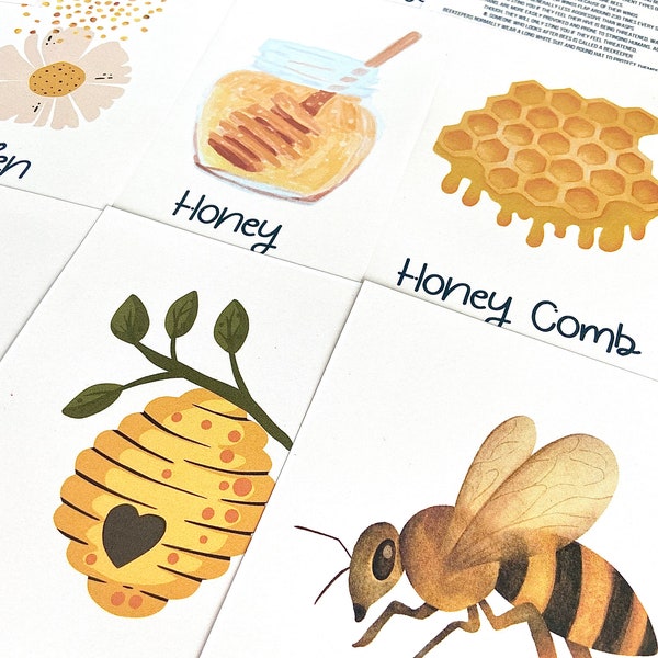 Bee Flashcards | Honeybee Flashcards | Nature Flashcards | Bee study | Montessori Flashcards | Homeschool Flashcards | Bee Cards | Bee