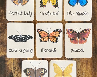 Schmetterling Einheit Studie | Naturstudie | Schmetterling Lebenszyklus | Schmetterling Anatomie | Schmetterling Aktivitätspaket | Schmetterling Ausmalbilder