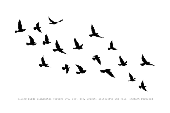 Birds Silhouettes Birds Clipart Birds Svg Bird Silhouette - Etsy New