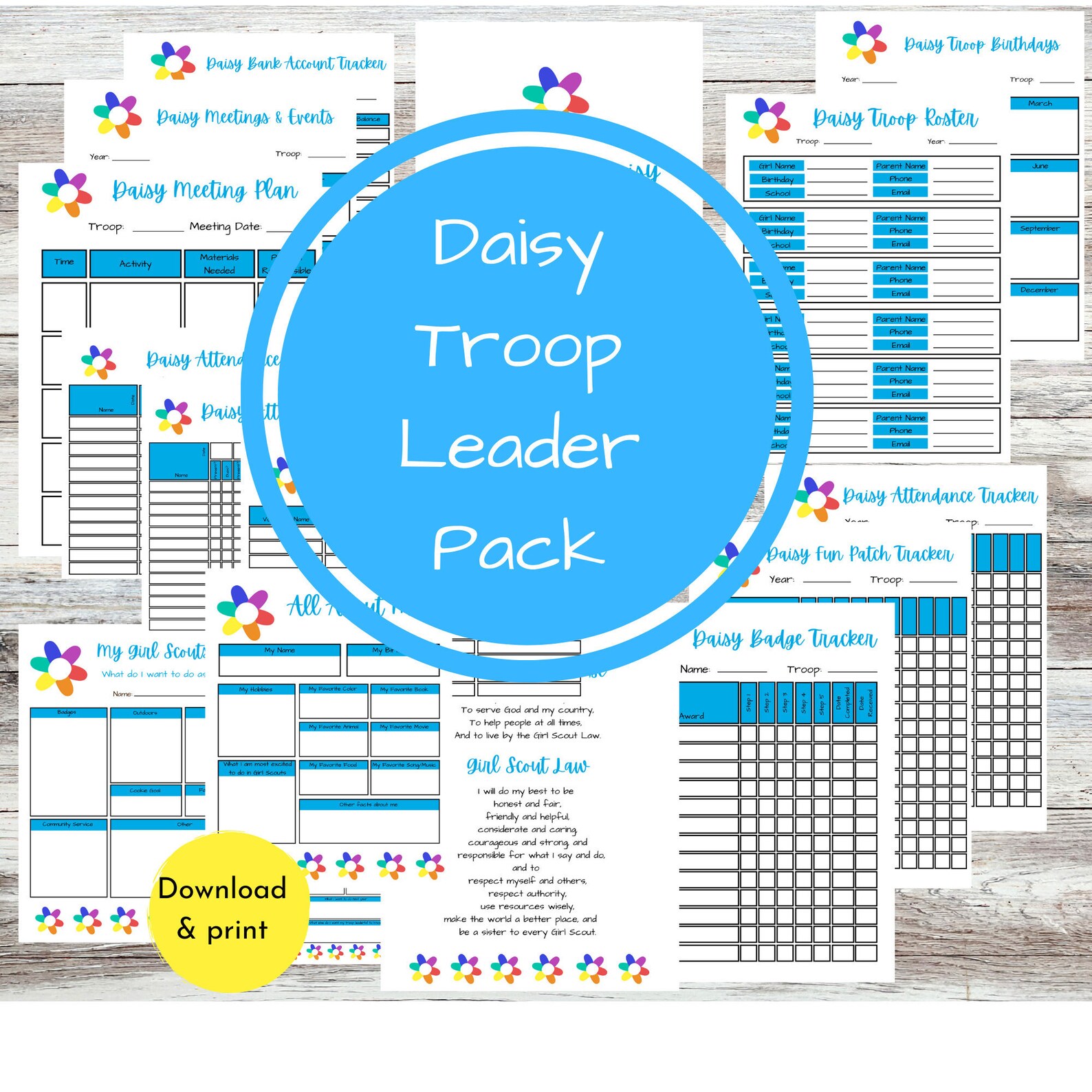 Printable Daisy Girl Scout Troop Leader Planning and Organizing Kit