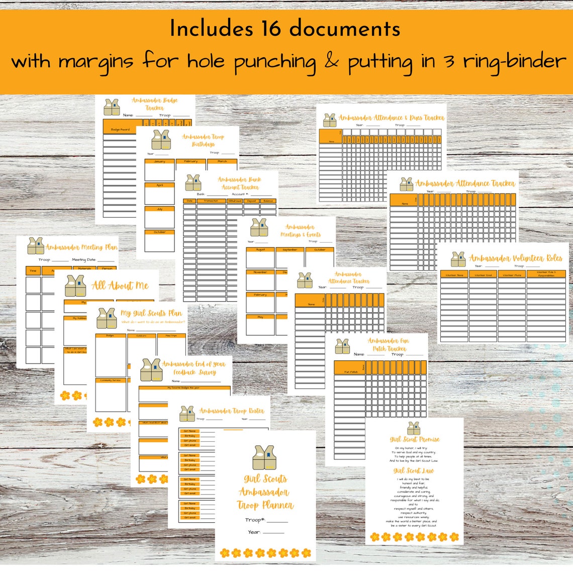Printable Ambassador Girl Scout Troop Leader Planning and - Etsy