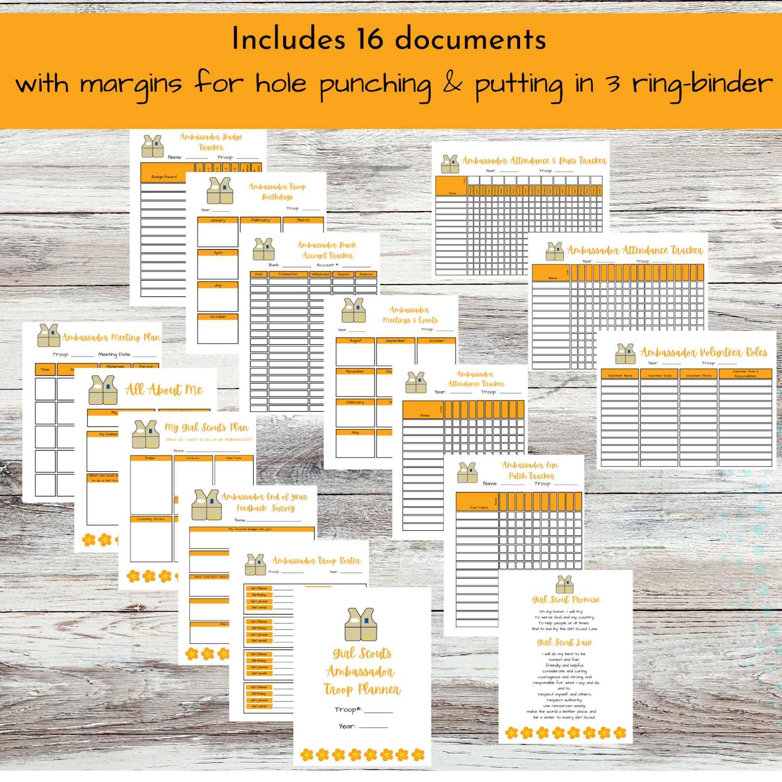 Printable Ambassador Girl Scout Troop Leader Planning and Organizing ...