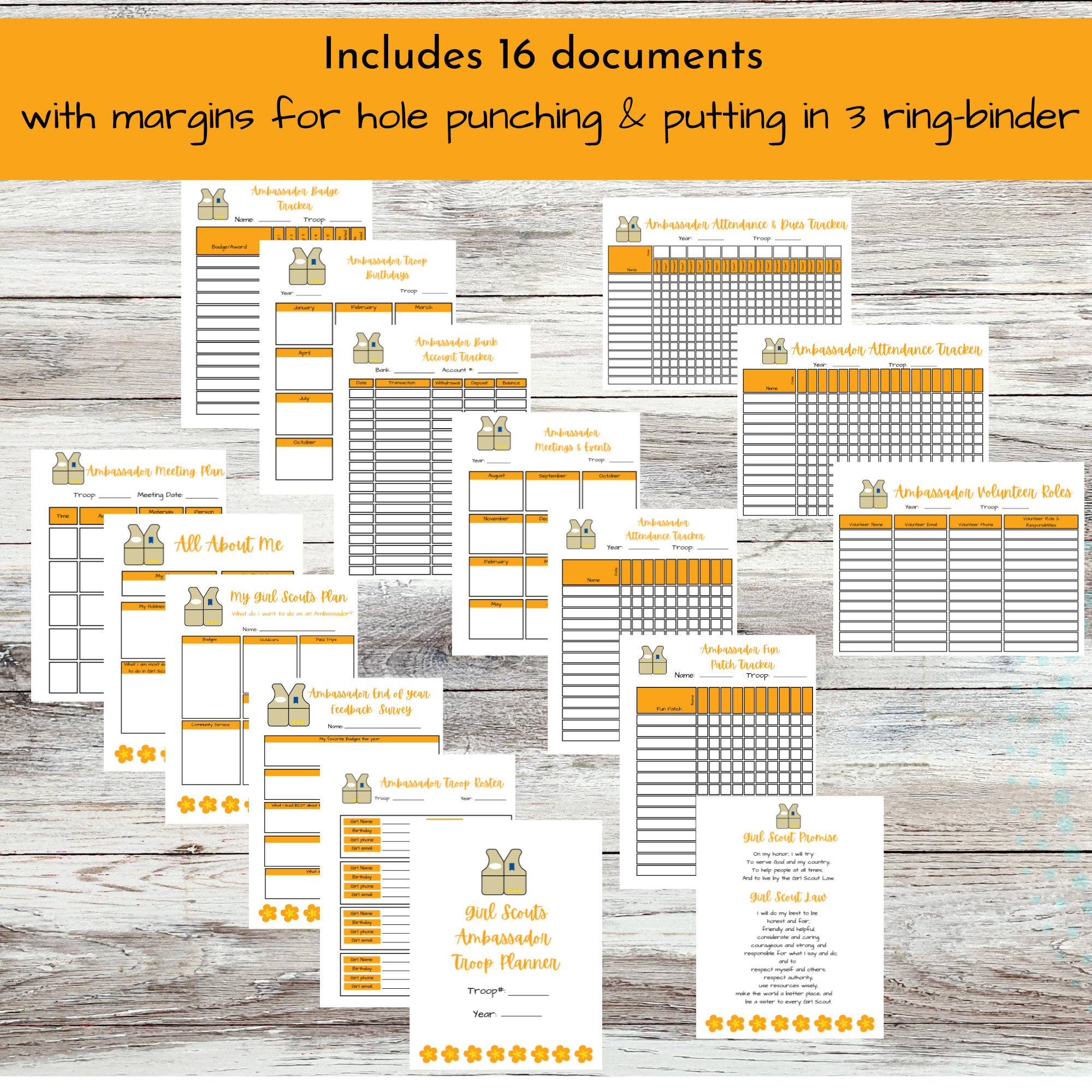 Printable Ambassador Girl Scout Troop Leader Planning and Organizing ...