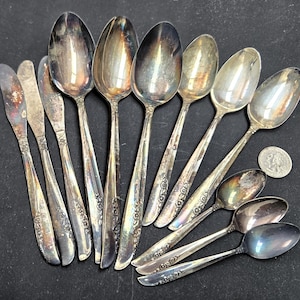 Oneida 1881 Rogers Silverware Lilac Time - Etsy