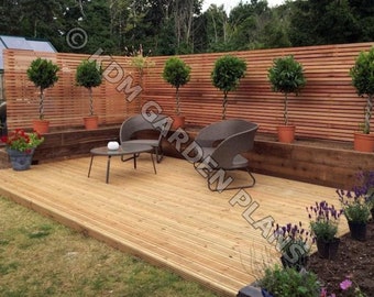 Plans for Wooden Garden Decking 3.6m x 4.8m DIY Digital Woodwork Plans Only UK Metric Excludes Materials