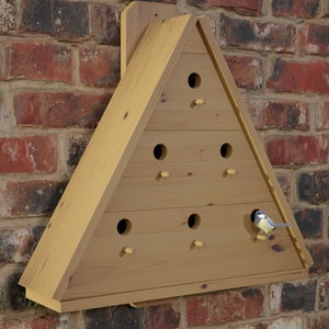 May include: A wooden birdhouse shaped like a triangle with six nesting holes. The birdhouse is mounted on a brick wall. A blue tit is perched on the edge of one of the nesting holes.
