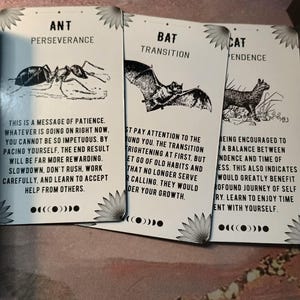 same day 30 min Intuitive video tarot reading image 11