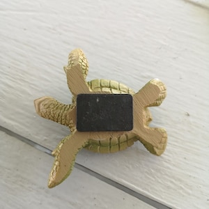 turtle magnet